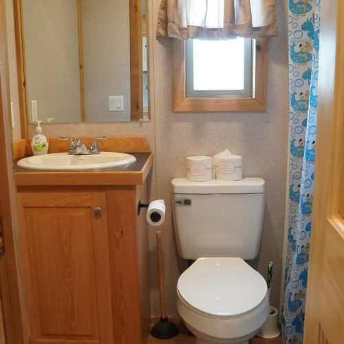 Lakefront-Yogi-Bear-bath