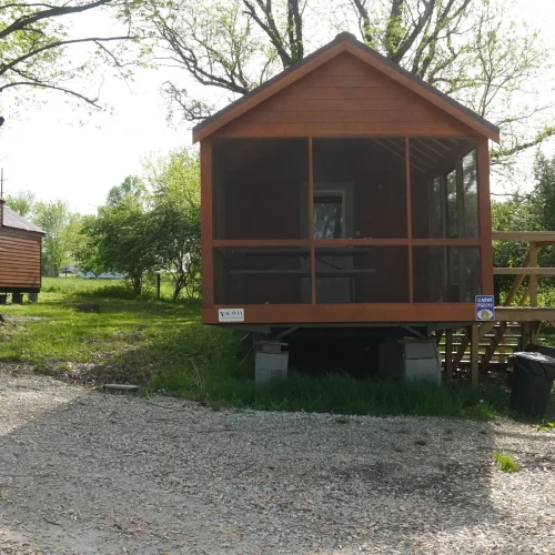 Pine-Grove-Cindy-Bear-front