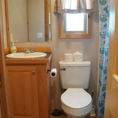 Pine-Grove-Yogi-bath