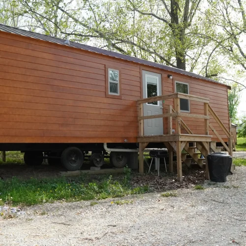 Pine-Grove-Yogi-front